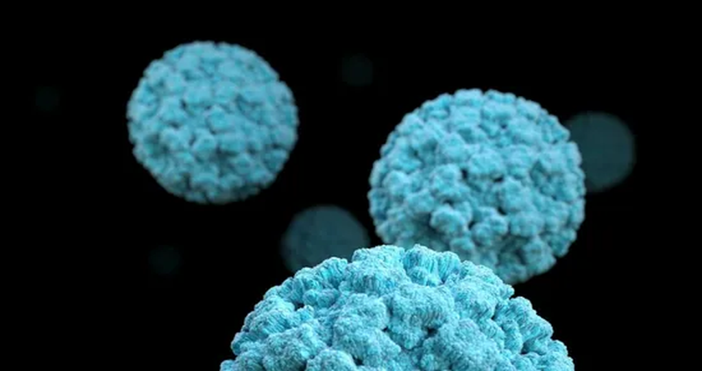 Why Hantavirus Isn’t the Next Pandemic, According to Health Officials